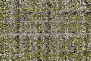 Ковровая плитка Interface World Woven 895 105381 Glen Weave фото  | FLOORDEALER